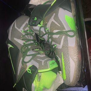 Lebron 12s